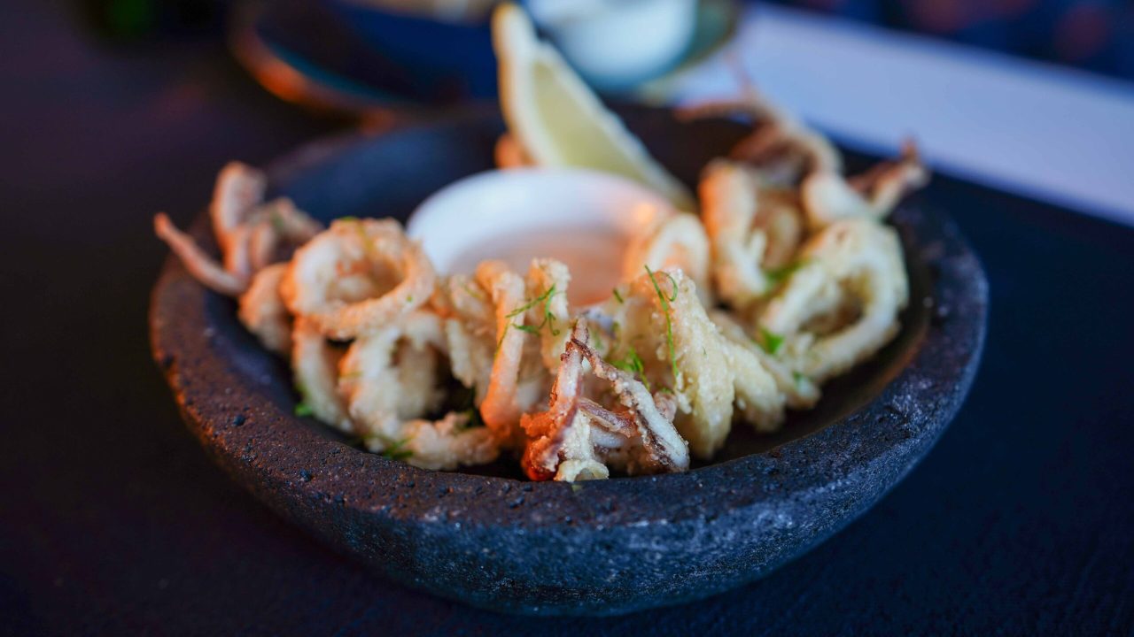 calamari fritti-02